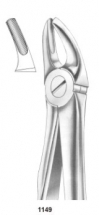  Fig. 7 upper premolars 